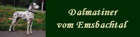 Dalmatiner "vom Emsbachtal" im Taunus